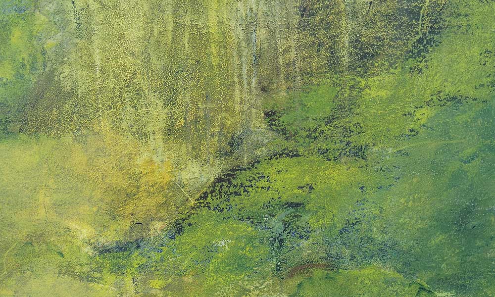 Pressebild-Ilse-Kampen-Island